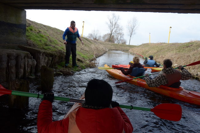Kajakami przez krainę ptaków i bobrów (zdjęcia)