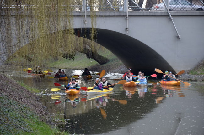 Kajakami przez krainę ptaków i bobrów (zdjęcia)