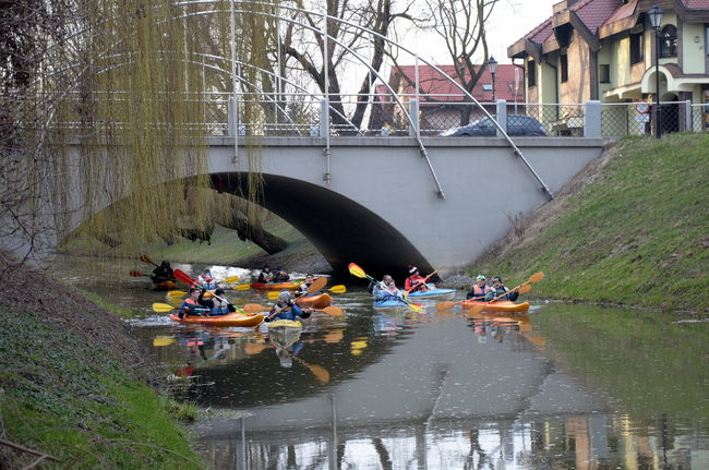 Kajakami przez krainę ptaków i bobrów (zdjęcia)