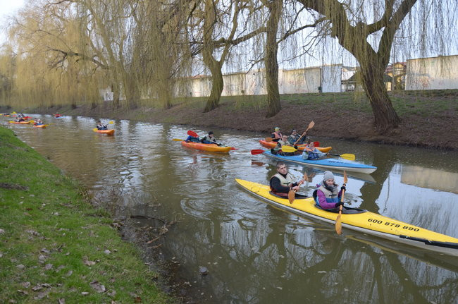 Kajakami przez krainę ptaków i bobrów (zdjęcia)