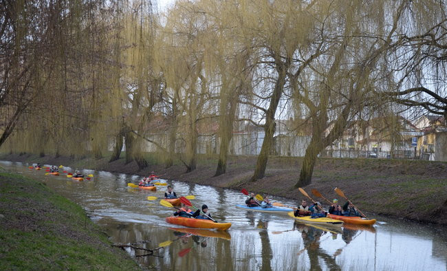 Kajakami przez krainę ptaków i bobrów (zdjęcia)