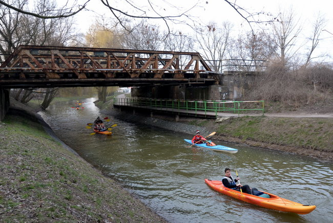 Kajakami przez krainę ptaków i bobrów (zdjęcia)