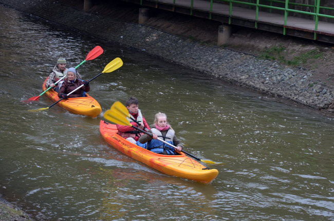 Kajakami przez krainę ptaków i bobrów (zdjęcia)