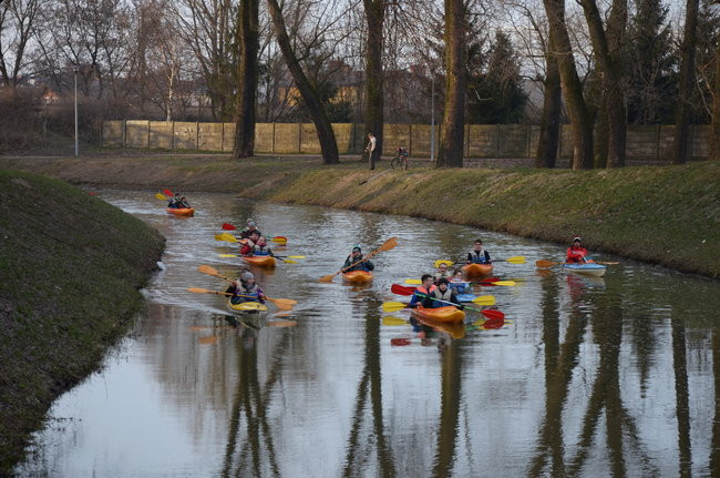 Kajakami przez krainę ptaków i bobrów (zdjęcia)