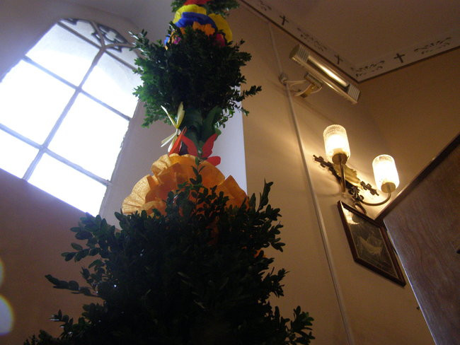 Cztery metry piękna (zdjęcia)