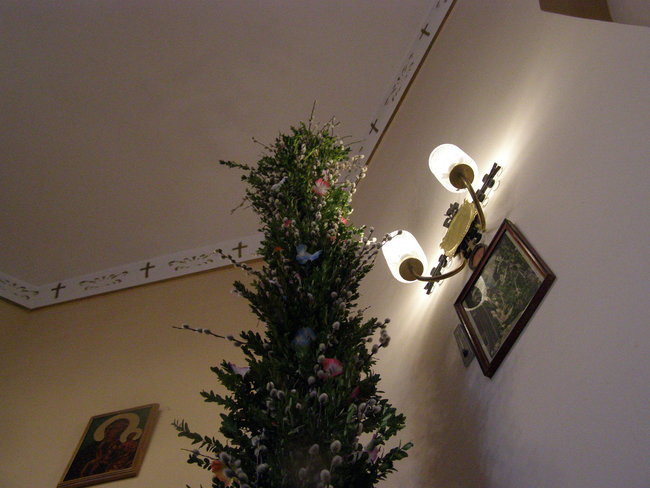 Cztery metry piękna (zdjęcia)