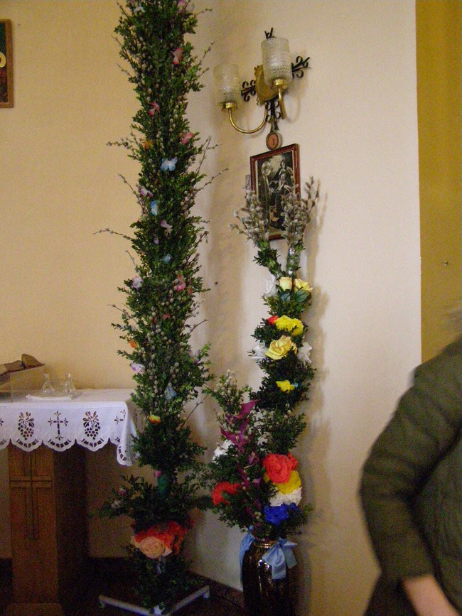 Cztery metry piękna (zdjęcia)