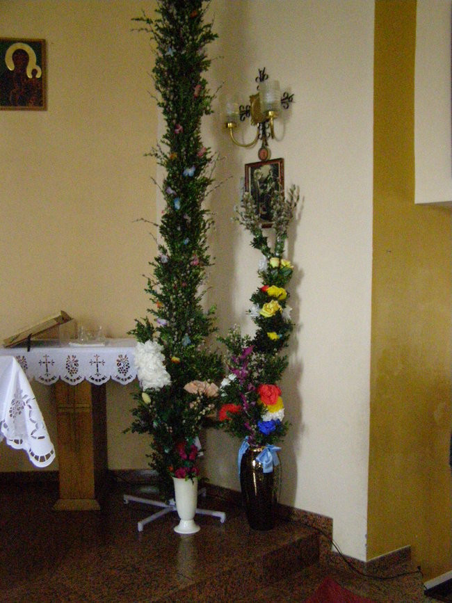 Cztery metry piękna (zdjęcia)