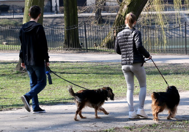 Święta, święta i... po świętach (dużo zdjęć)