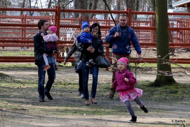 Święta, święta i... po świętach (dużo zdjęć)