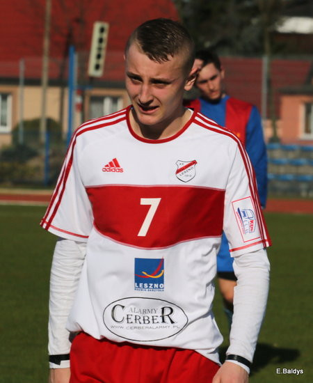 Grad bramek w Lesznie (zdjęcia)