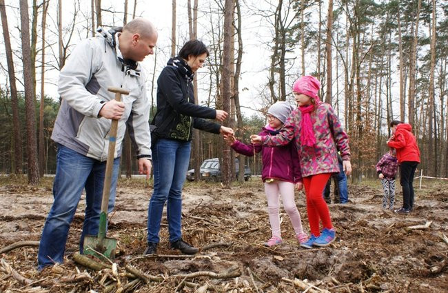 Wielkie sadzenie drzew z udziałem dzieci (zdjęcia)