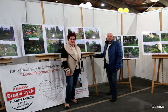 W Trapezie trwają X Targi Dom i Ogród (zdjęcia)