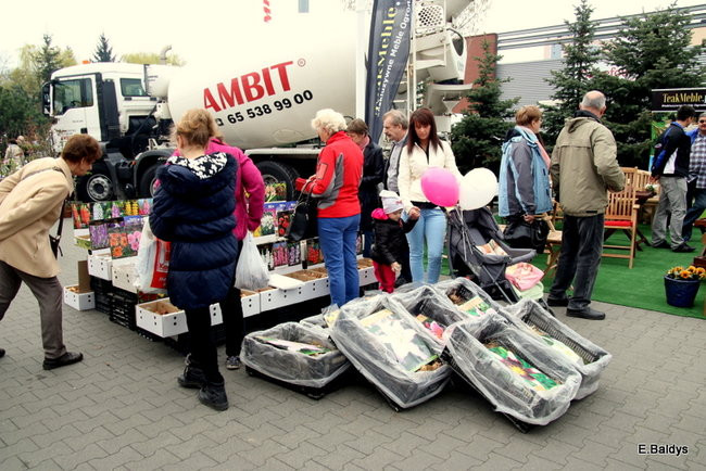 W Trapezie trwają X Targi Dom i Ogród (zdjęcia)