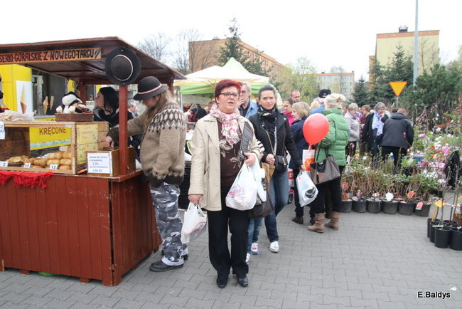 W Trapezie trwają X Targi Dom i Ogród (zdjęcia)