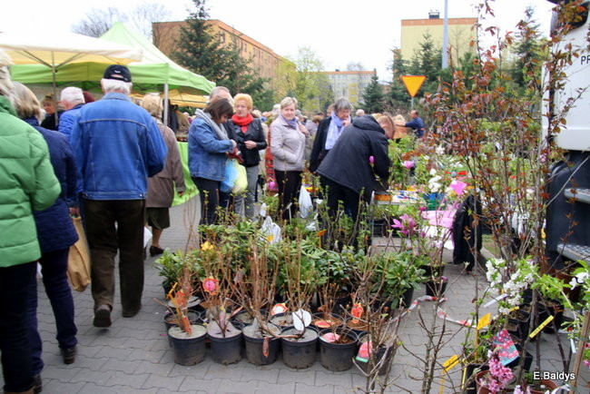 W Trapezie trwają X Targi Dom i Ogród (zdjęcia)