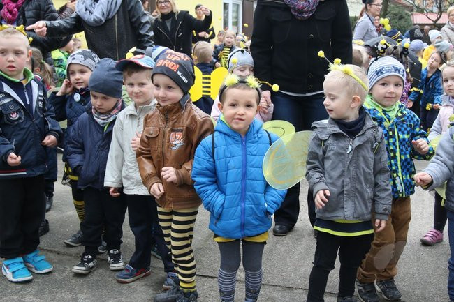 A w przedszkolu roje pszczół (dużo zdjęć)