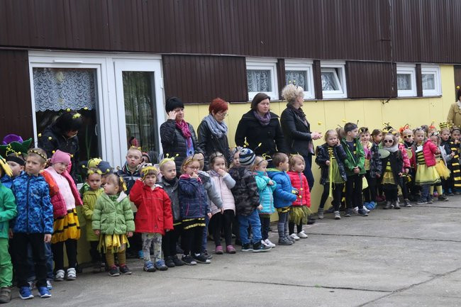 A w przedszkolu roje pszczół (dużo zdjęć)
