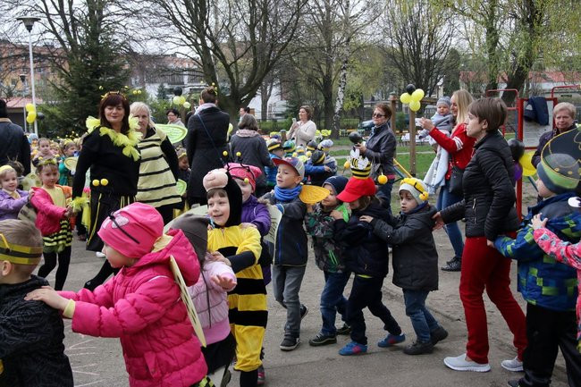 A w przedszkolu roje pszczół (dużo zdjęć)