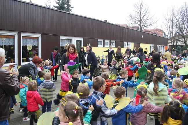 A w przedszkolu roje pszczół (dużo zdjęć)