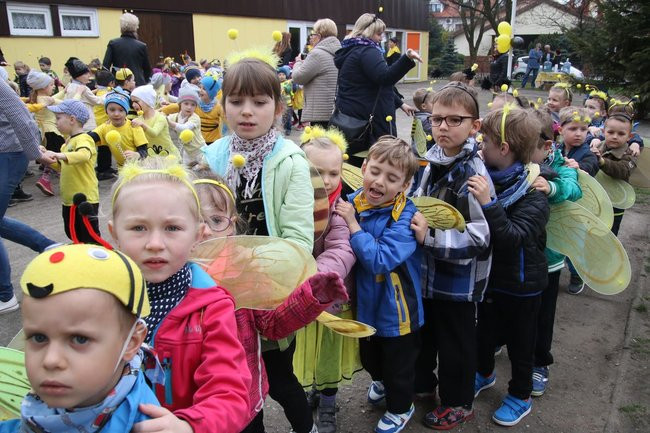 A w przedszkolu roje pszczół (dużo zdjęć)