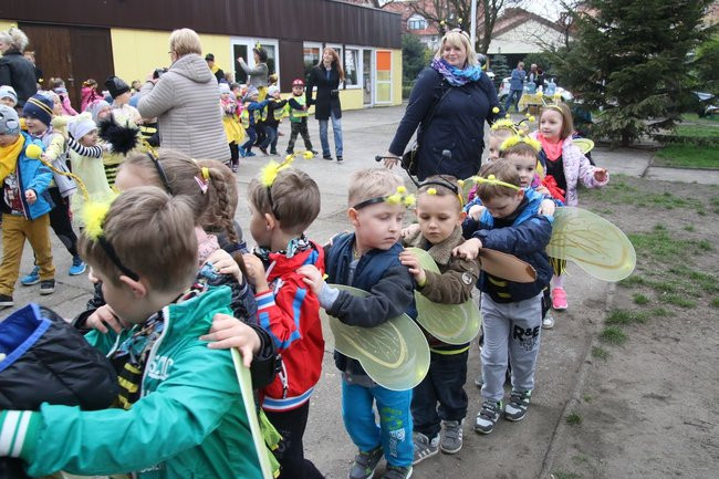 A w przedszkolu roje pszczół (dużo zdjęć)