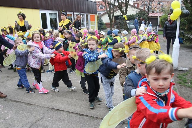 A w przedszkolu roje pszczół (dużo zdjęć)