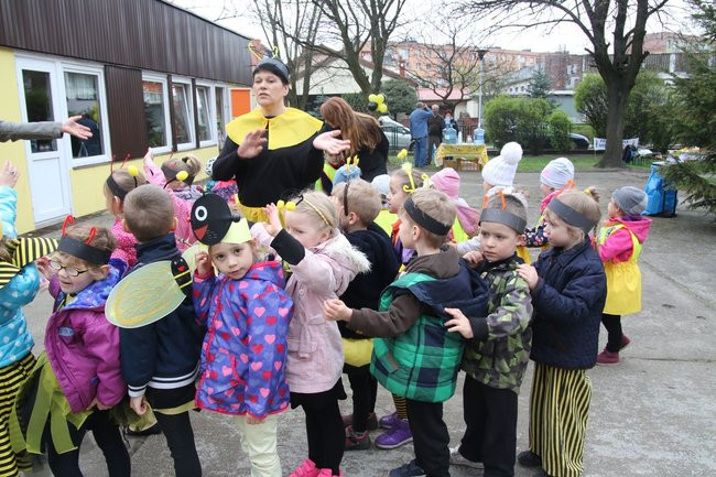 A w przedszkolu roje pszczół (dużo zdjęć)