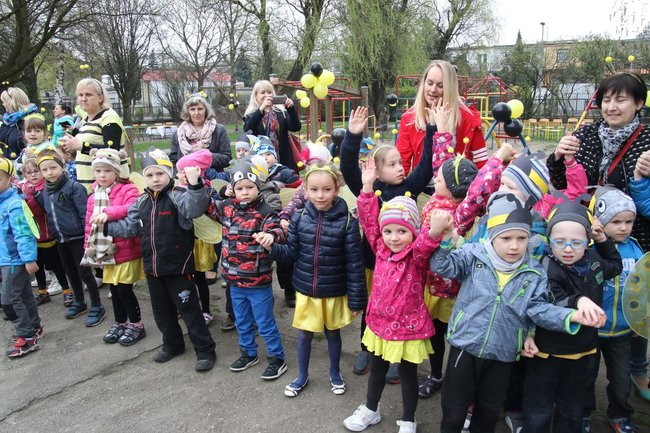 A w przedszkolu roje pszczół (dużo zdjęć)
