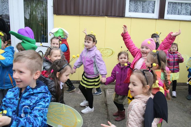 A w przedszkolu roje pszczół (dużo zdjęć)