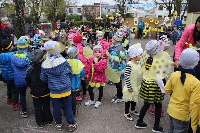 A w przedszkolu roje pszczół (dużo zdjęć)