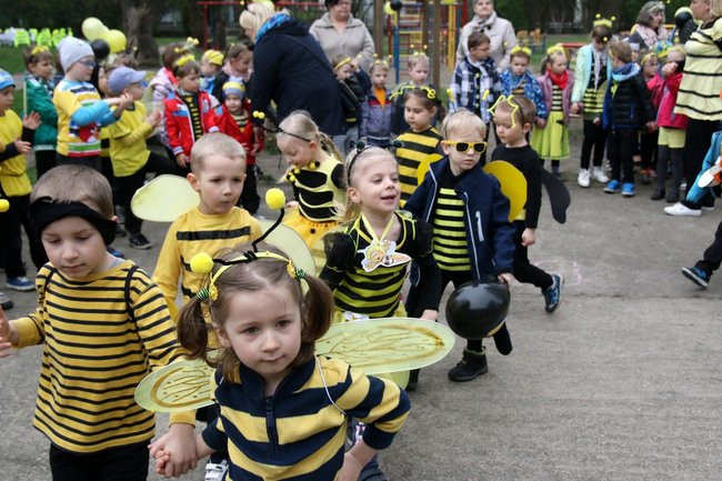 A w przedszkolu roje pszczół (dużo zdjęć)