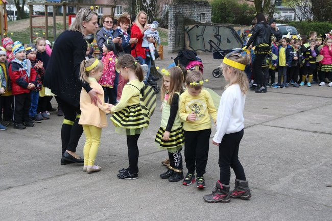 A w przedszkolu roje pszczół (dużo zdjęć)