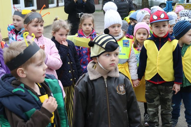A w przedszkolu roje pszczół (dużo zdjęć)