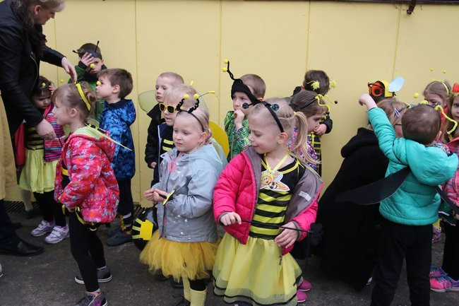 A w przedszkolu roje pszczół (dużo zdjęć)