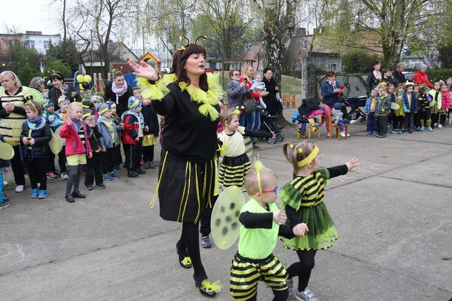 A w przedszkolu roje pszczół (dużo zdjęć)
