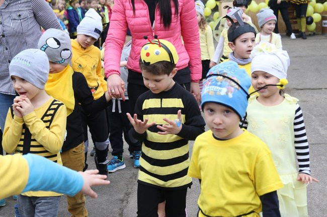 A w przedszkolu roje pszczół (dużo zdjęć)