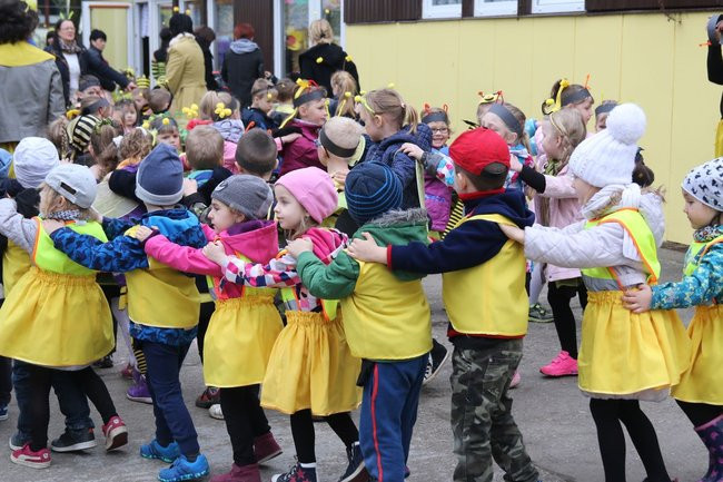 A w przedszkolu roje pszczół (dużo zdjęć)