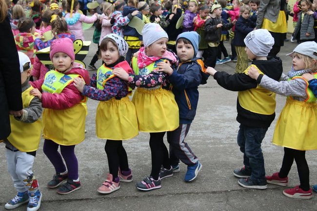 A w przedszkolu roje pszczół (dużo zdjęć)