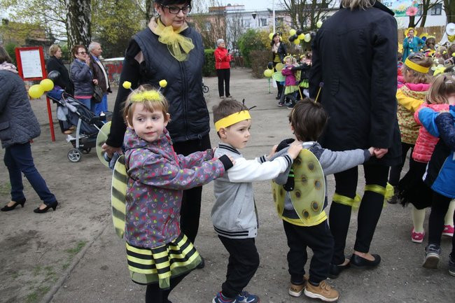A w przedszkolu roje pszczół (dużo zdjęć)