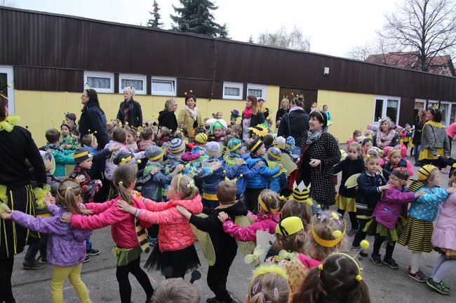 A w przedszkolu roje pszczół (dużo zdjęć)