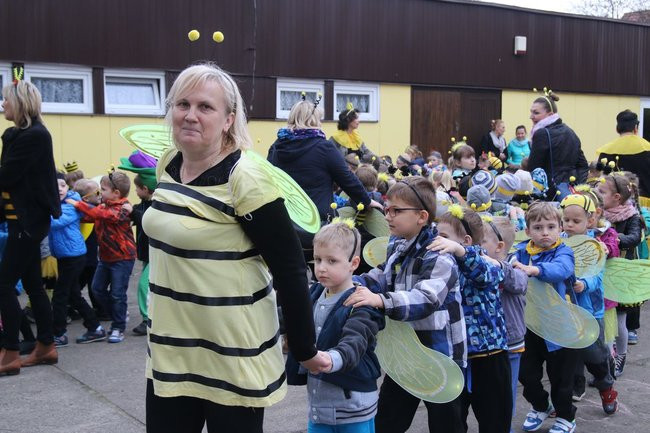 A w przedszkolu roje pszczół (dużo zdjęć)