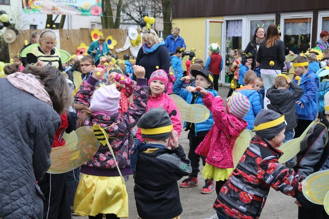 A w przedszkolu roje pszczół (dużo zdjęć)