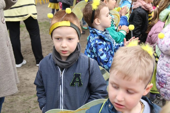 A w przedszkolu roje pszczół (dużo zdjęć)