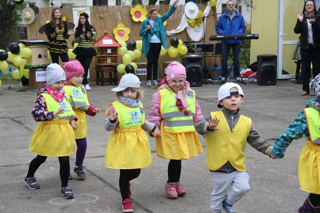 A w przedszkolu roje pszczół (dużo zdjęć)