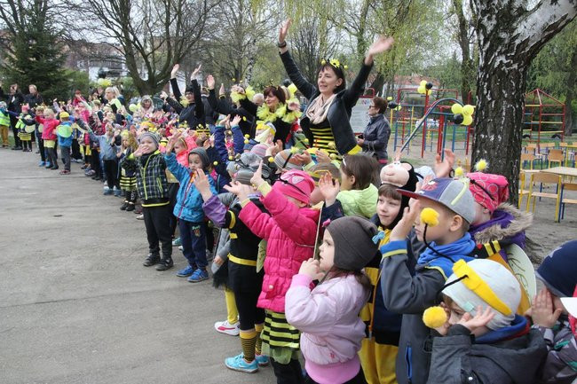 A w przedszkolu roje pszczół (dużo zdjęć)