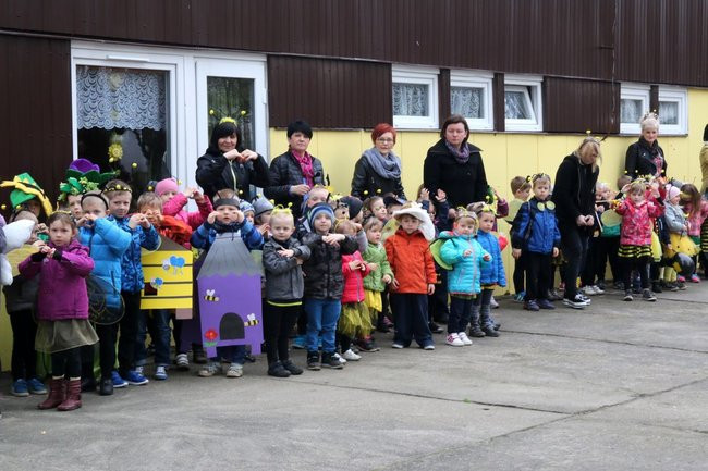 A w przedszkolu roje pszczół (dużo zdjęć)