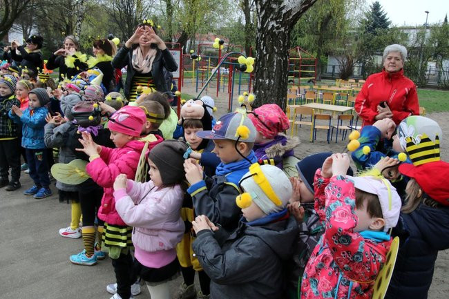 A w przedszkolu roje pszczół (dużo zdjęć)