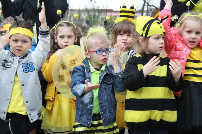 A w przedszkolu roje pszczół (dużo zdjęć)