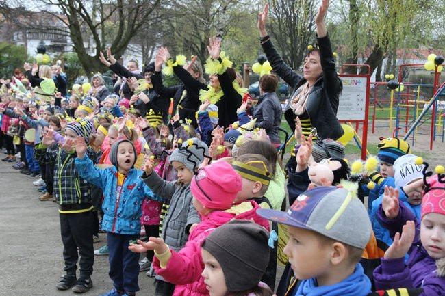 A w przedszkolu roje pszczół (dużo zdjęć)